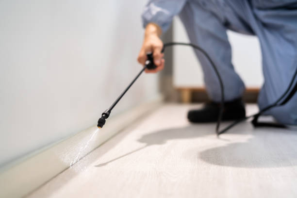 Licensed Termite Control service in Piñon Hills, CA - Nex Pest Control