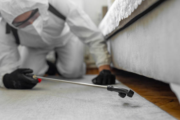 Professional Termite Control technician working in Piñon Hills, CA