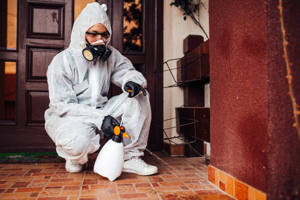 Reliable Termite Control contractor in Piñon Hills, CA by Nex Pest Control