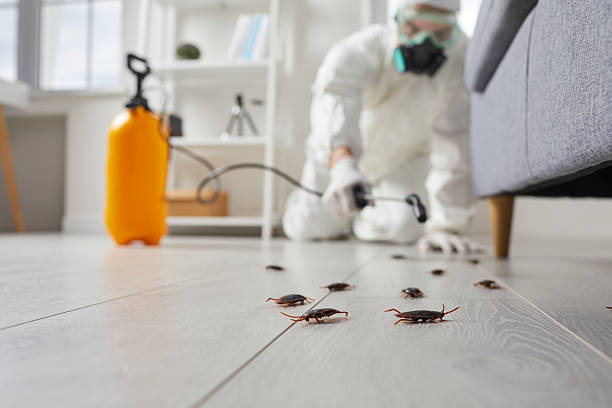 Trusted Rodent Control service in Piñon Hills, CA - Nex Pest Control