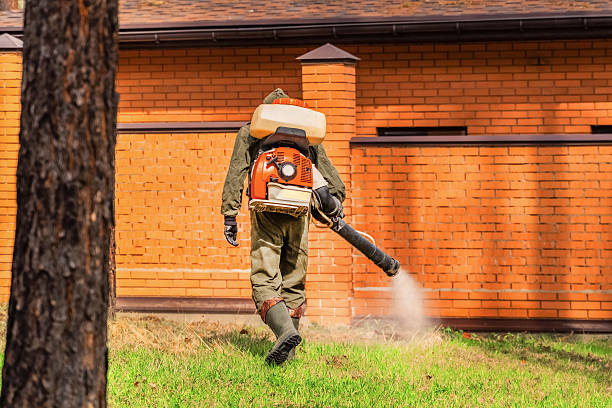 Trusted Fumigation Services service in Piñon Hills, CA - Nex Pest Control